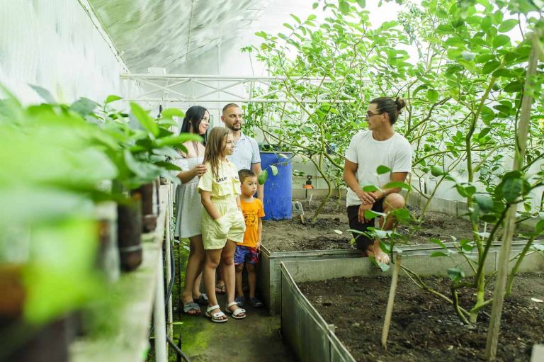 Экскурсии в теплицы