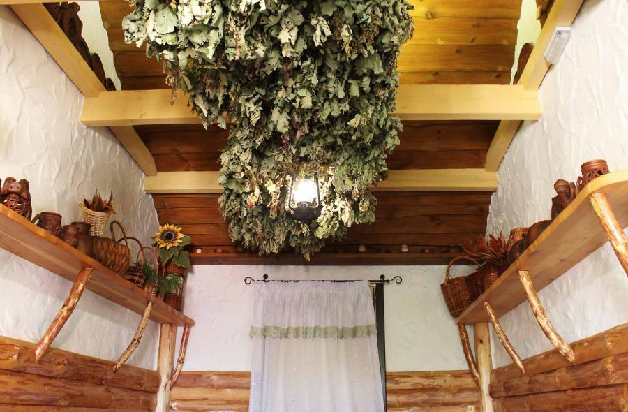 50 — Дубовый номер